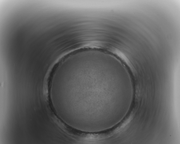 X0000089860923200707051130