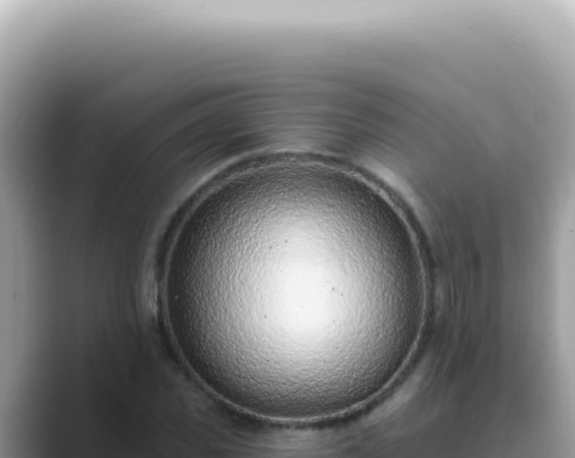 X0000089860925200707051130