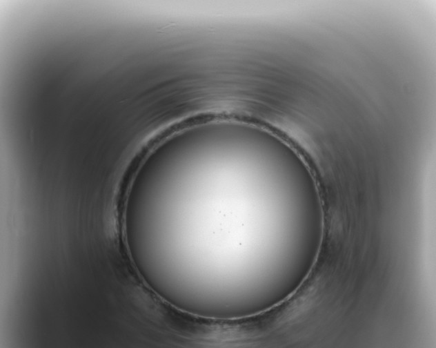 X0000089860927200707051130