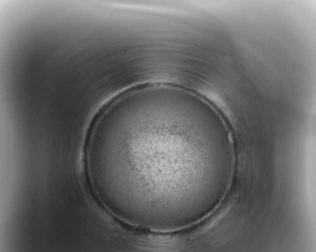 X0000089860928200707051130