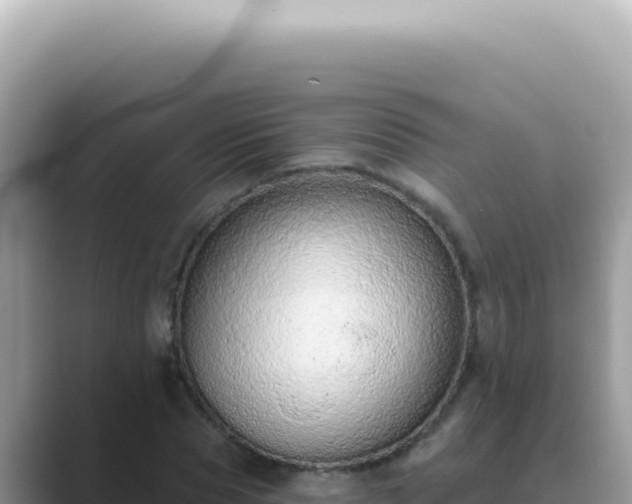 X0000089860929200707051130