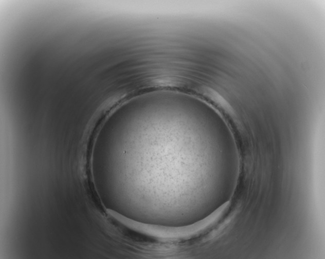 X0000089860930200707051130