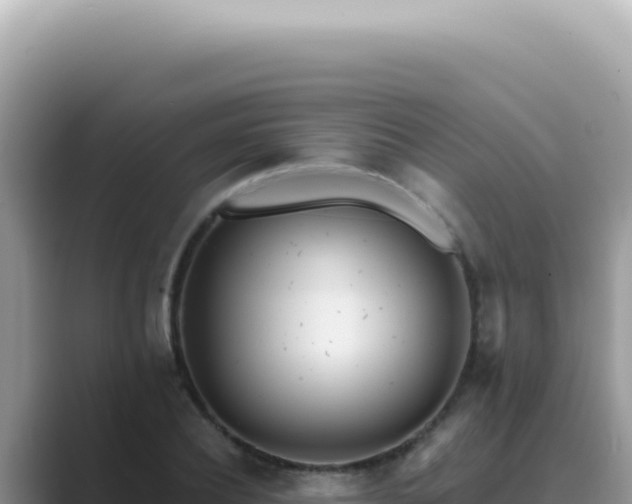 X0000089860932200707051131