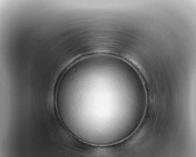 X0000089860933200707051131