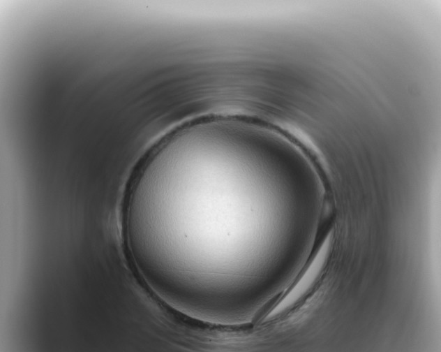 X0000089860935200707051131