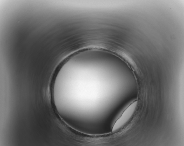 X0000089860936200707051131