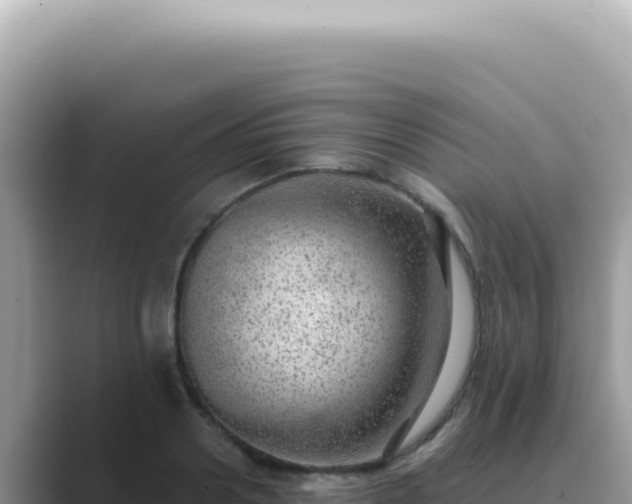 X0000089860938200707051131