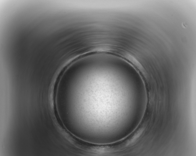 X0000089860939200707051131