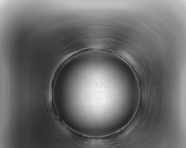 X0000089860940200707051131