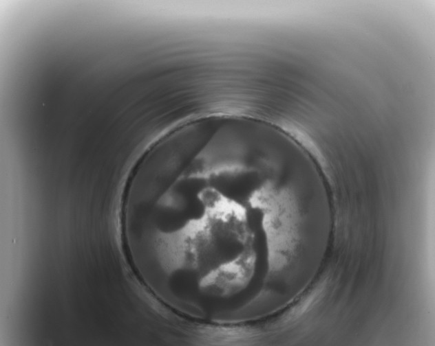 X0000089860941200707051131