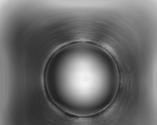 X0000089860942200707051131