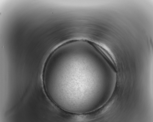 X0000089860943200707051131
