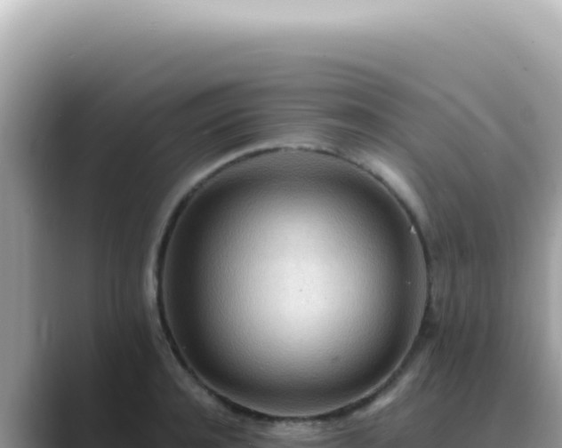 X0000089860944200707051131