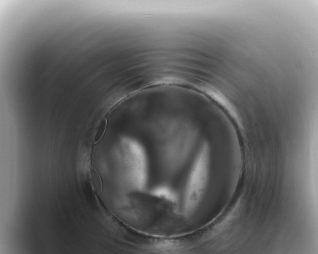 X0000089860945200707051131