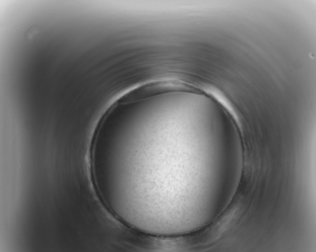 X0000089860951200707051131