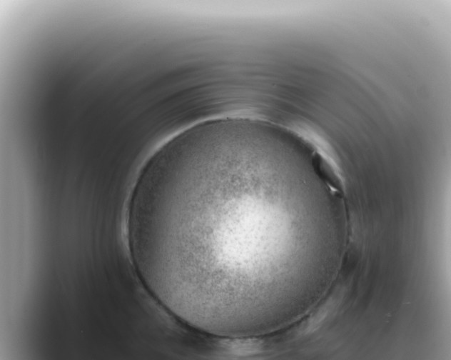 X0000089860952200707051131