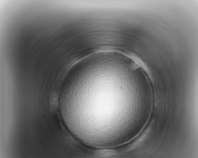X0000089860953200707051131