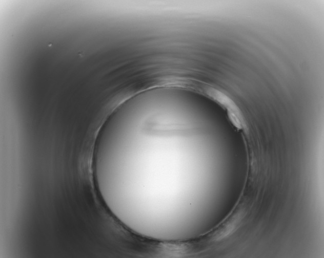 X0000089860954200707051131