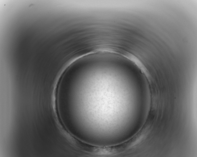 X0000089860955200707051131