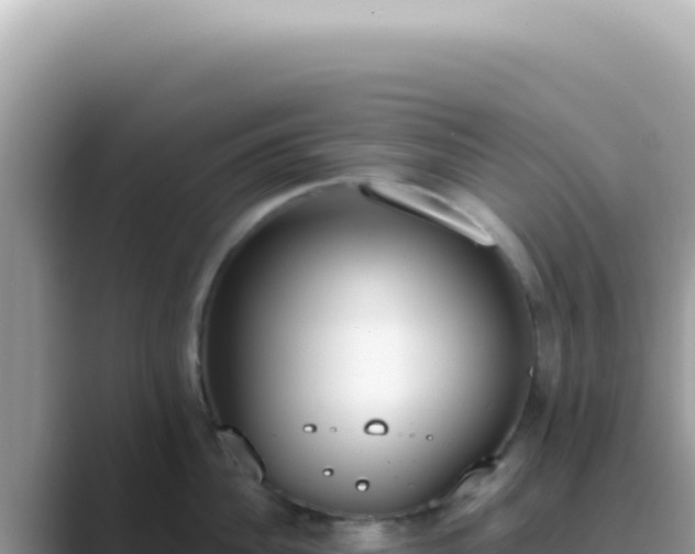 X0000089860956200707051131