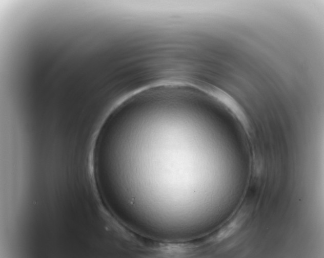 X0000089860958200707051131