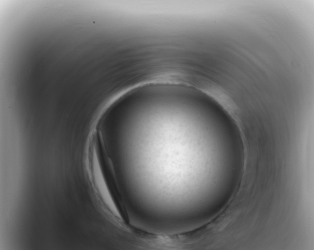 X0000089860960200707051131