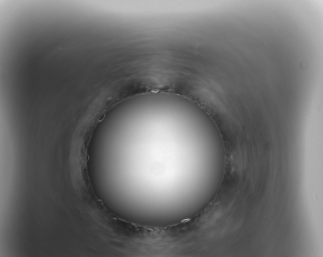 X0000089860961200707051130