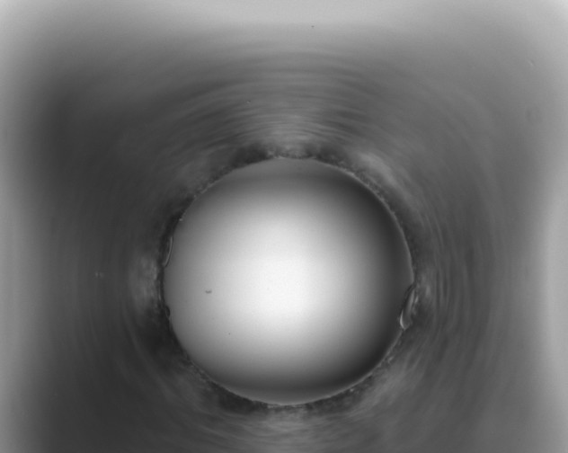 X0000089860964200707051130