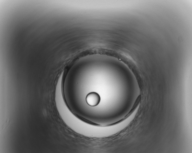 X0000089860965200707051130