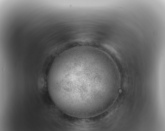 X0000089860966200707051130
