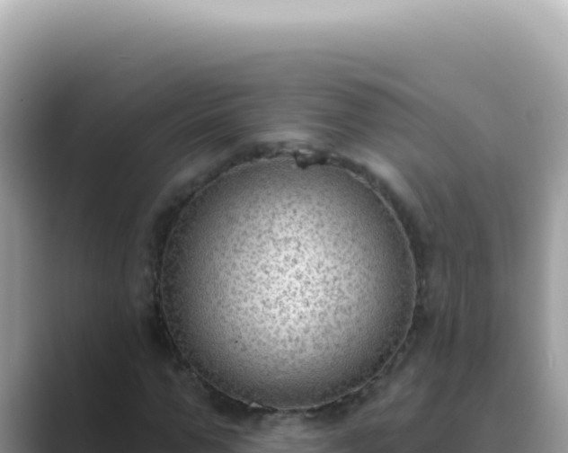 X0000089860967200707051130
