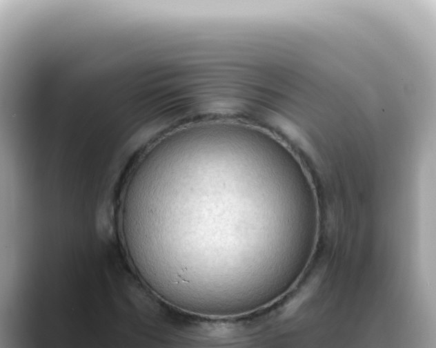 X0000089860970200707051130