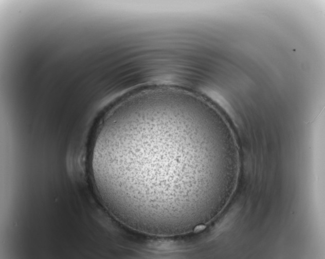 X0000089860971200707051130
