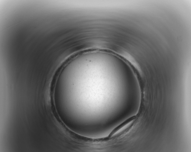 X0000089860972200707051130