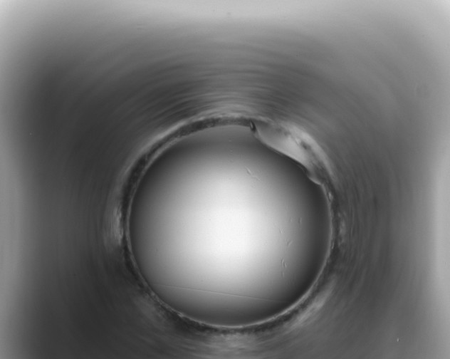X0000089860973200707051130
