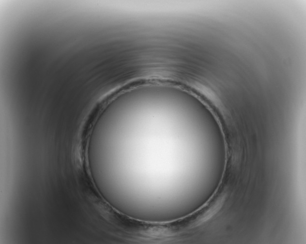 X0000089860974200707051130