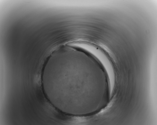 X0000089860977200707051130