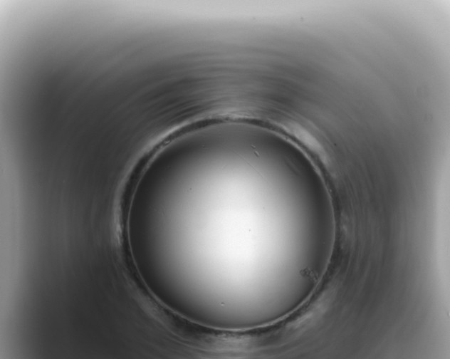 X0000089860981200707051130