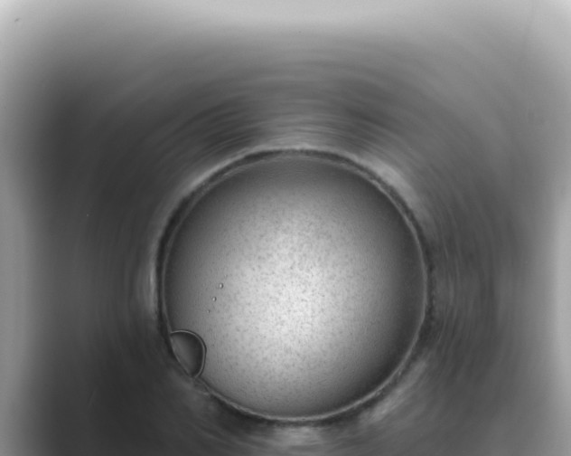 X0000089860982200707051130