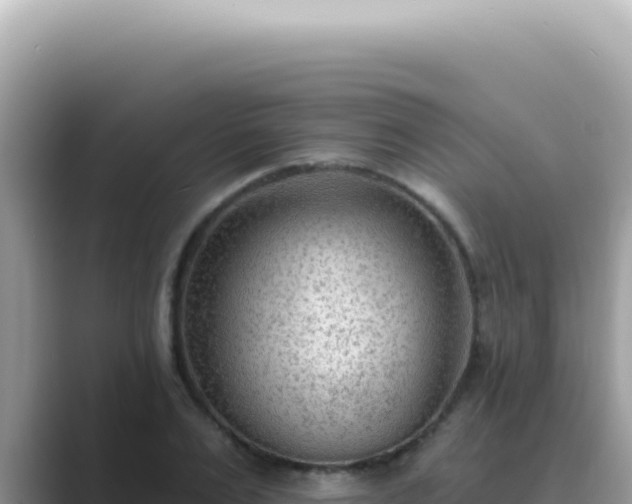 X0000089860983200707051130