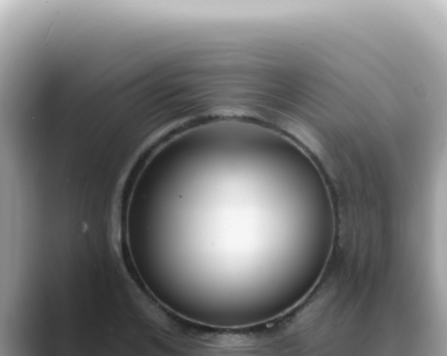 X0000089860984200707051130