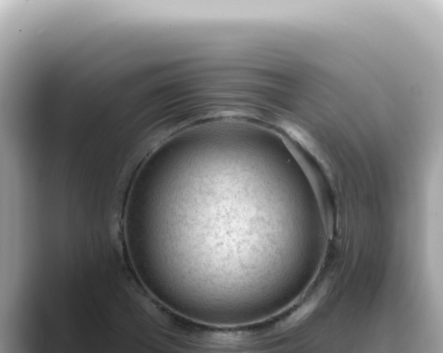 X0000089860985200707051130