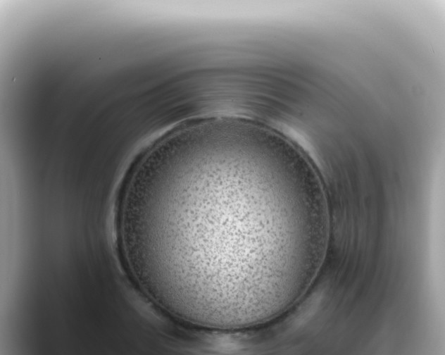 X0000089860987200707051130