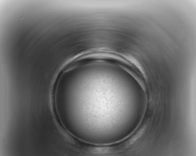X0000089860989200707051130