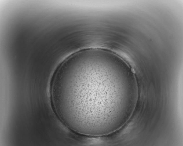 X0000089860990200707051130