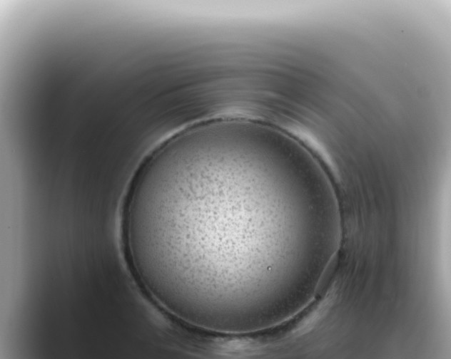 X0000089860991200707051130