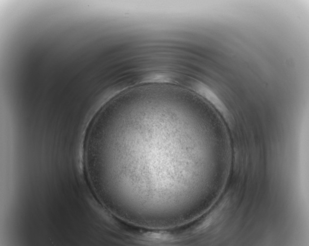X0000089860994200707051130