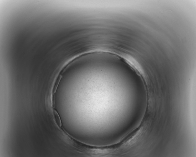 X0000089860996200707051130