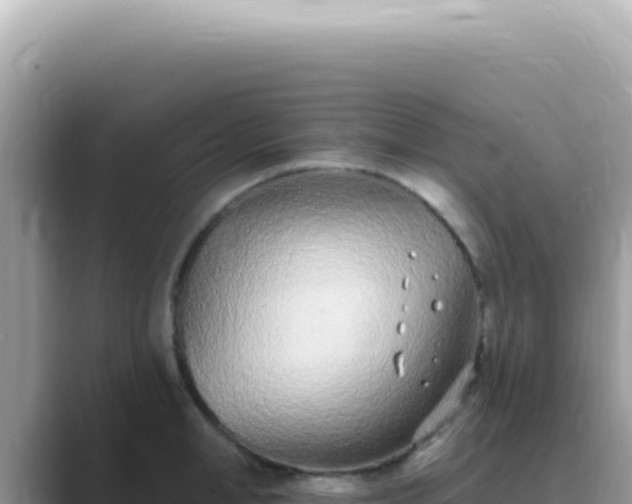 X0000089860998200707051130