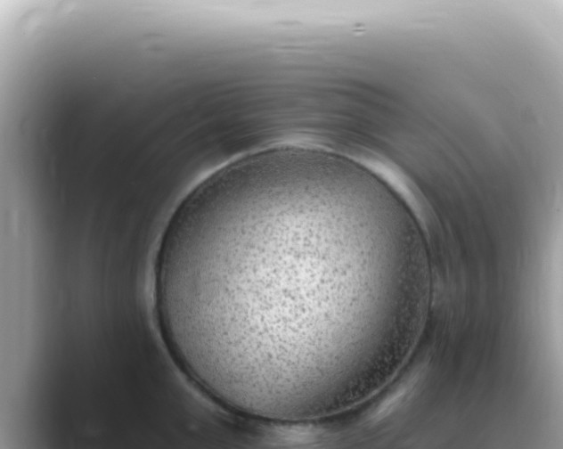 X0000089860999200707051130